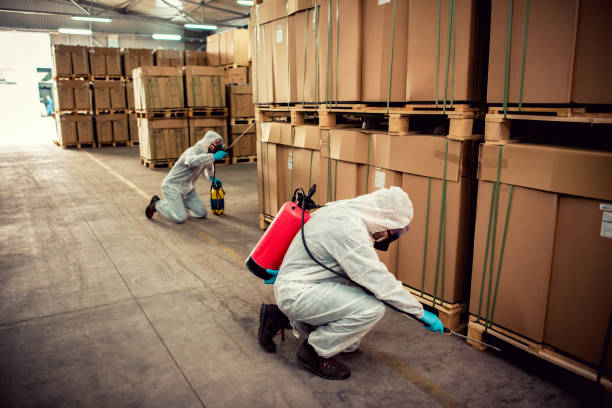 Best Bed Bug Extermination  in Wilson, PA