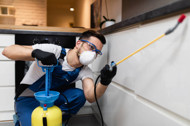 Best Residential Pest Control  in Wilson, PA