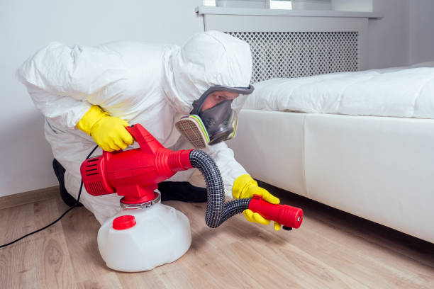 Wasp Removal Services in Wilson, PA