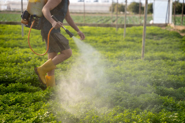 Best Mosquito Control Services  in Wilson, PA